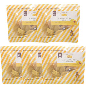 犬 おやつ 腎臓 ロイヤルプティサブレ 腎臓ケア 70g 無添加 ドッグフード 低リン で 腎臓 に優しい 小麦粉不使用 グルテンフリー 栄養補給 水分補給 冷凍 お腹に優しい さつまいも クッキー