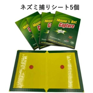 �������� �S���� �l�Y�~�߂�V�[�g �u�b�N�^ �Q���΍� ���͔S���V�[�g �l�Y�~�悯 (5��)�i10�j