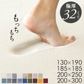 【最大2000円クーポン】 ラグ 高反発 ラグマット 130 190 ソフチェ 低反発 のような 厚さ32mm 床暖房 ホットカーペット 対応 可 滑り止め付き 1畳 2畳 3畳 センターラグ 200×300 オールシーズン カーペット 絨毯 マット 極厚 厚手 防音 遮音 おしゃれ[K400-200x250]