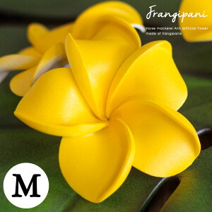 vA AWA  X^_[h^Cv MTCY/CG[ tWpj ][g IuWF  oG AWAG nCAG AWAG nC p[c CeA ԏ 