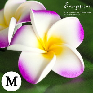 yő2000~N[|z vA AWA  X^_[h^Cv MTCY/oCIbg tWpj ][g IuWF  oG AWAG nCAG AWAG n