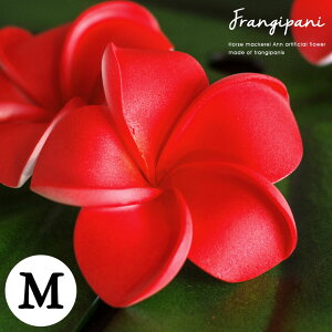 yő2000~N[|z vA AWA  X^_[h^Cv MTCY/I[bh tWpj ][g IuWF  oG AWAG nCAG AWAG n