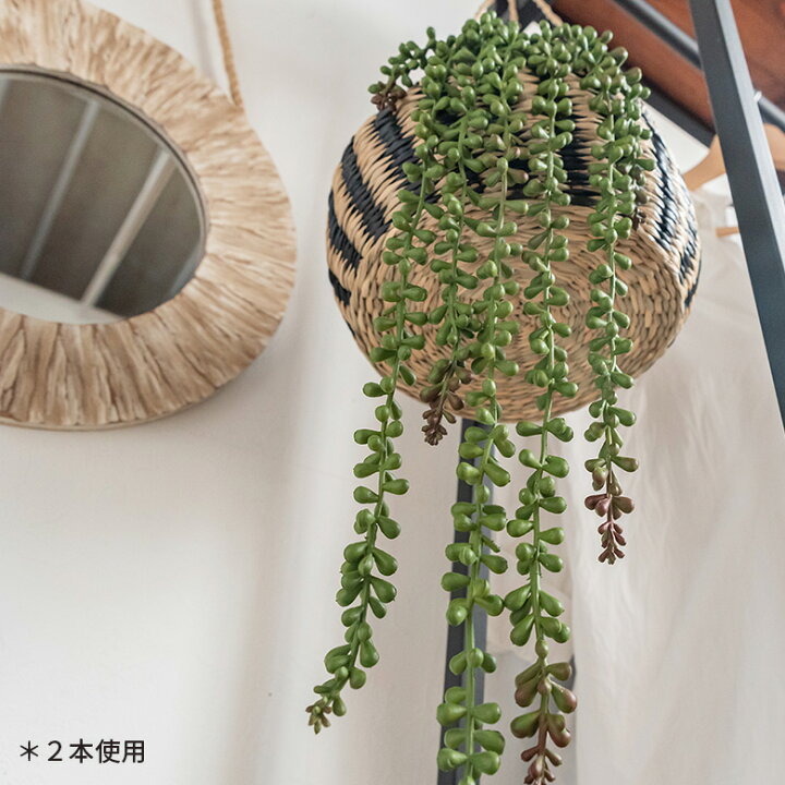 楽天市場 グリーンネックレス フェイクグリーン 観葉植物 吊るす 垂らす 壁掛け インテリア 雑貨 エアープランツ 多肉植物 フェイク ハンギング リアル ガーランド 造花 アフリカン アジアン ナチュラル インドア リゾート アクアリウム 観賞用 おしゃれ かわいい 楽天市場 グリーンネックレス フェイクグリーン 観葉植物 吊るす 垂らす 壁掛け インテリア 雑貨 エアープランツ 多肉植物 フェイク ハンギング リアル ガーランド 造花 アフリカン アジアン ナチュラル インドア リゾート アクアリウム 観賞用 おしゃれ かわいい