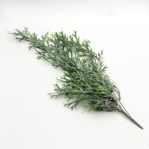 観葉植物 かっこいい 観葉植物の人気商品 通販 価格比較 価格 Com