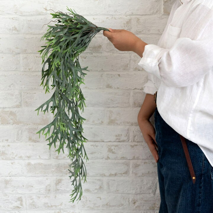 楽天市場 フェイクグリーン 造花 シダ 観葉植物 壁掛け インテリアグリーン ハンギング 80cm 垂れ下がり ロングタイプ かっこいい おしゃれ 906 アジア工房 楽天市場 フェイクグリーン 造花 シダ 観葉植物 壁掛け インテリアグリーン ハンギング 80cm 垂れ下がり ロングタイプ かっこいい おしゃれ 906 アジア工房