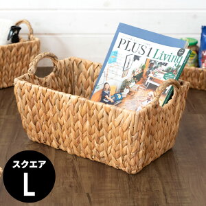 oXPbg t XNGA^ [^ LTCY EH[^[qVX 40cm 22cm  oXPbg  JS oXPbg[ [ [{bNX [ G qVXoX