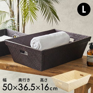 p_ŕ҂܂ꂽh[oXPbg [oXPbg E߂ JS [{bNXoXPbg  16cm ꕨ o [ õAWAh[oXPbg AWA