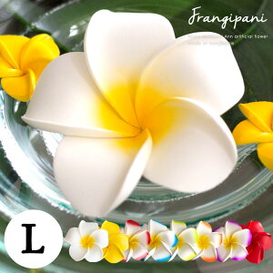 vA X^_[h^Cv LTCY ][g AWAG nCAG i` u u tFCN Ԃ nC AWAG oG ChlVA  [֑