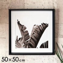 楽天市場】フレーム 正方形 50×50の通販