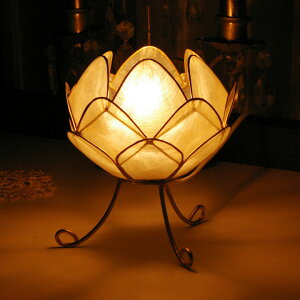 yő500~N[|z @`[tɂJsXVF̃t[v AWAv X^h Ɩ tACg Lk tAv e[uv ԐڏƖ a o G AWAG