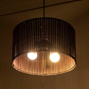 y_gCg Eh^Cv 2 E26 100W ou[ LED Ή a40cm 22cm VƖ CeAƖ Ɩ@AWAv y_gƖ Ɩ ݂艺 a_  o