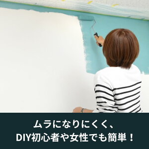 楽天市場 壁紙 ペンキ 室内 天井 水性塗料 4kg 約28平米 アースカラー 塩ビクロス ペンキ 塗り替え 壁 Diy 簡単 つや消し マット 店舗 おしゃれ 模様替え モルタル コンクリート 屋内 木部 鉄部 窓枠 巾木 ブラウン ベージュ カーキ イエロー 茶