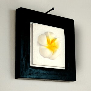 yő2000~N[|z ̓IȃvAAWA[t VO^CvS  tWpj Ǌ| A[g  CeA Δ ^C ΂̒ pl IuWF EH[fR