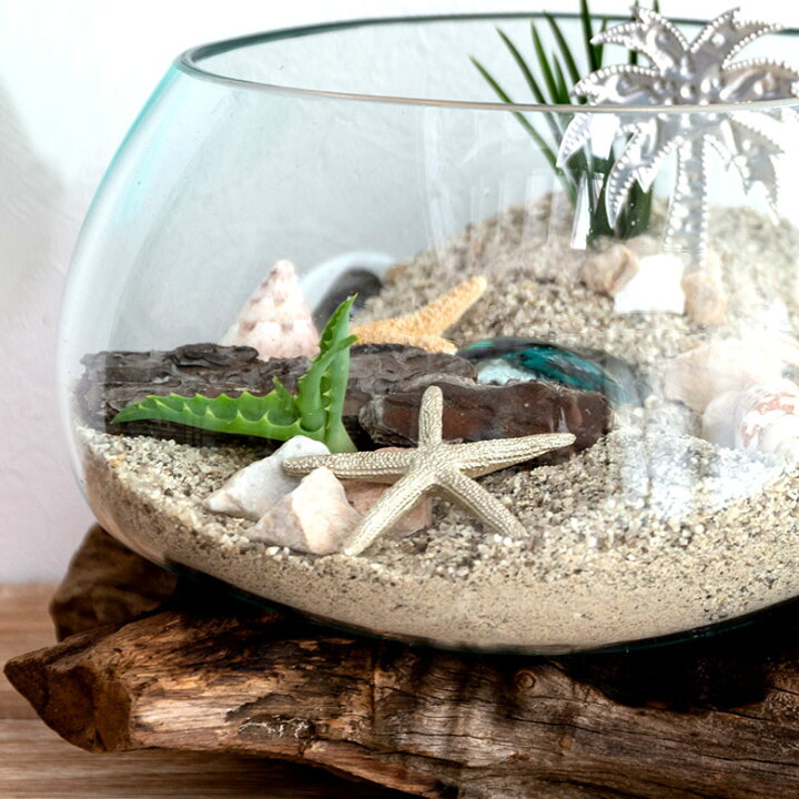 楽天市場 ガラスと流木のプランターオブジェ Lサイズ 花瓶 花器 花入れ プランター 流木 水槽 水鉢 フラワーボウル オブジェ インテリア バリ アジアン雑貨 テラリウム アート バリ島 モダン おしゃれ エアープランツ 容器 アジア工房 楽天市場 ガラスと流木のプランターオブジェ Lサイズ 花瓶 花器 花入れ プランター 流木 水槽 水鉢 フラワーボウル オブジェ インテリア バリ アジアン雑貨 テラリウム アート バリ島 モダン おしゃれ エアープランツ 容器 アジア工房