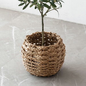 yő500~N[|z v^[Jo[ V[OX v^[|bg STCY 5  i` AWAG AWAG   킢 oXPbg GXjbN A[gt