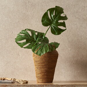 A tFCNO[ Xe tFCN ϗtA A[gO[ Xe[t ][g IuWF gsJ fBXvC rO   O[  A[gt