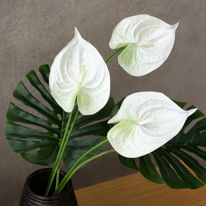 楽天市場 アジアン 造花 アンスリウム 3色展開 観葉植物 フェイクグリーン 枝付き アジアン雑貨 ハワイアン雑貨 フェイク フラワー ナチュラル 置物 置き物 グリーン ハワイ バリ雑貨 インテリア雑貨 メール便対応 6160 アジア工房