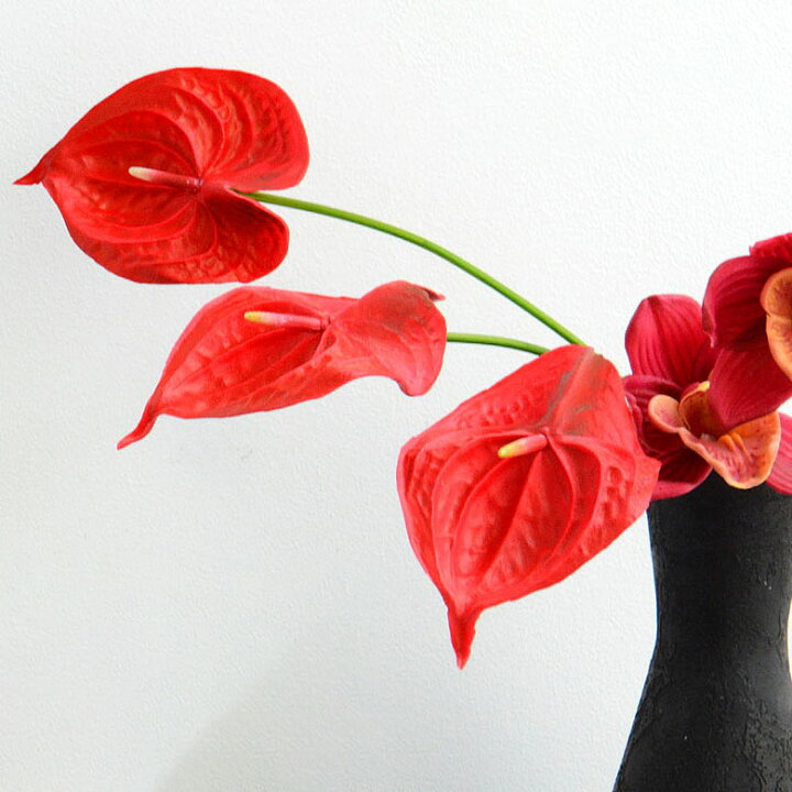 楽天市場 アジアン 造花 アンスリウム 3色展開 観葉植物 フェイクグリーン 枝付き アジアン雑貨 ハワイアン雑貨 フェイク フラワー ナチュラル 置物 置き物 グリーン ハワイ バリ雑貨 インテリア雑貨 メール便対応 アジア工房