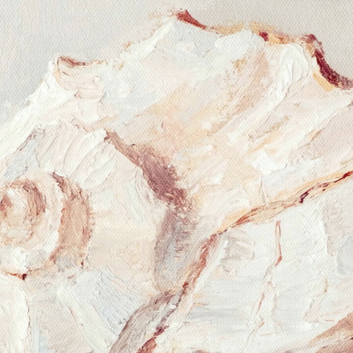 楽天市場 アートパネル シェル 貝 キャンパス パネル イラスト デッサン 約 W 30cm D 30cm H 2 7cm アート キャンパスアート 絵画 壁掛け プリント Snail Spiral Shell Nautilus ウォール デコレーション 北欧 インテリア おしゃれ リゾート アジアン 雑貨