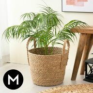 プランターカバー 植木鉢カバー バスケット 持ち手付き ラッシュ製 い草 Mサイズ 約 W 25 × D 25 × H 2…