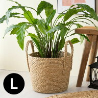 プランターカバー 植木鉢カバー バスケット 持ち手付き ラッシュ製 い草 Lサイズ 約 W 29 × D 29 × H 2…