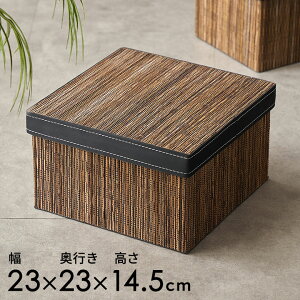 p[fB̃t^t[{bNX `^Cv 23×23cm [P[X t^t  JS ^bN o [ AWA oXPbg o G AWAG AWAG ꕨ i