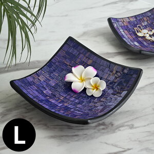 yő2000~N[|z gC UCN^C KX  ^C LTCY  W 20 × D 20 × H 6 cm fR[VgC IuWF g[ LbVgC ANZT[gC   