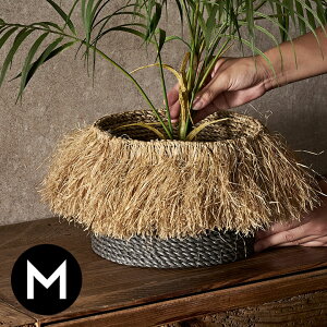 yő2000~N[|z oXPbg h[oXPbg MTCY tBA  W 22cm D 22cm H 16cm i` oXPbg [ [oXPbg 󕨓  rO _Cj