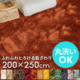 洗えるラグマット 200cm×250cm マイクロファイバーフラッフィラグカーペット 200cm×250cm 200×250 3畳 大きめ 長方形 厚手 カーペット ホットカーペット対応 シャギーラグ 洗える 滑り止め 絨毯 じゅうたん シャギー 床暖房 シリーズ累計販売枚数5万枚[B100-200x250]