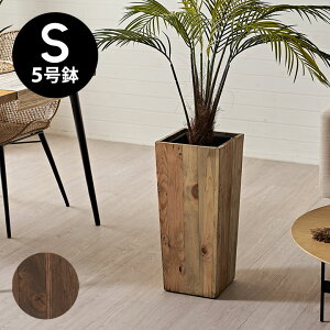 yő2000~N[|z v^[Jo[ Ebhv^[{bNX Ebhv^[Jo[ 5Aؔ Ci[|bgt ꌊȂ ؐ O 24.5cm s24.5cm 55cm Botanique {^j[N