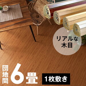 EbhJ[ybg cn 6p G{XH 243×345cm PJ-40 1^Cv z} t[O  DIY tH[ t[OJ[ybg ؐ t[O}bg 6 EbhJ[