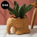プランターカバー 象 象さん 籐 ラタン 6号鉢 約 W 38cm D 25cm H 26cm ナチュラル 鉢カバー プランター カバー 鉢 オ…