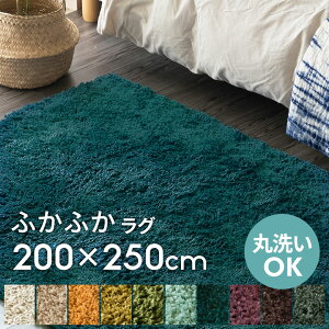 yő2000~N[|z 􂦂 VM[O}bg  ~ߕt 200×250cm 100×140 }CNt@Co[ `  OJ[ybg zbgJ[ybgΉ 200cm O~ 􂦂 VM[O 