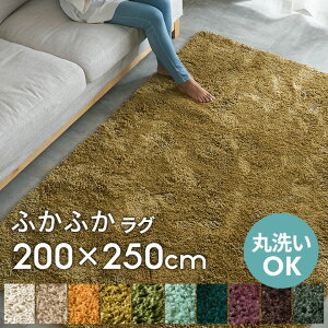 􂦂 VM[O}bg  ~ߕt 200×250cm 100×140 }CNt@Co[ `  OJ[ybg zbgJ[ybgΉ 200cm O~ 􂦂 VM[O O}bg 傫 