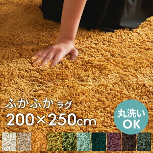 􂦂 VM[O}bg  ~ߕt 200×250cm 100×140 }CNt@Co[ `  OJ[ybg zbgJ[ybgΉ 200cm O~ 􂦂 VM[O O}bg 傫 