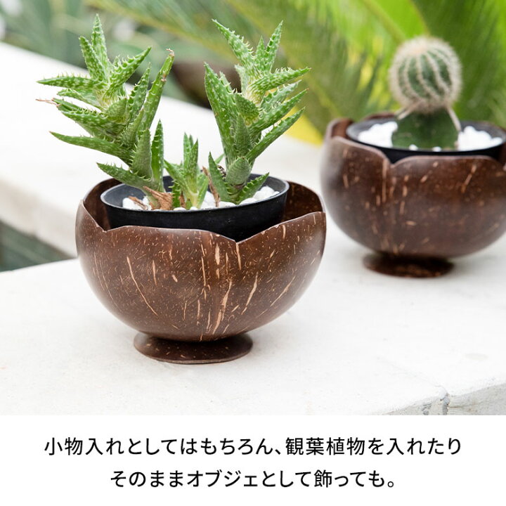楽天市場】ココナッツウッド デコレーションボウル 花型 オブジェ 小物 