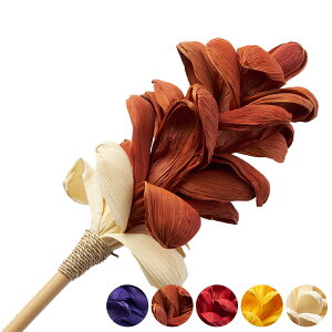 yő2000~N[|z A[gvc R[[t O^Cv  fBXvC A[gt[ fR[V  W 11 × D 11 × H 81 cm CeA u[P   ޗ t[ A