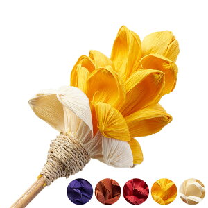 yő2000~N[|z A[gvc R[[t O^Cv  fBXvC A[gt[ fR[V  W 11 × D 11 × H 81 cm CeA u[P   ޗ t[ A