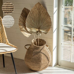 yő2000~N[|z oXPbg   59L V[OX [^     W 41cm D 41cm H 50cm v^[Jo[ Jo[ oXPbg [ [oXPbg [ JS  J