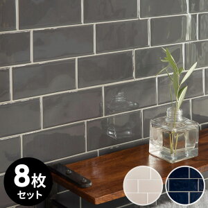 ^CV[ TuEFC^C g UCN  W 29.3cm D 21.2cm H 1mm 8 ^C O[ lCr[ x[W 䏊 Lb` ʏ gC   h EH[XebJ[ fR[V