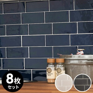 ^CV[ TuEFC^C g UCN  W 29.3cm D 21.2cm H 1mm 8 ^C O[ lCr[ x[W 䏊 Lb` ʏ gC   h EH[XebJ[ fR[V