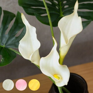 AWA  J[[ V[g 3FWJ ϗtA tFCNO[ }t ][g AWAG nCAG tFCN t[ O[ _ u u Ԃ nC 