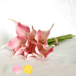 yő500~N[|z AWA  J[[ V[g 3FWJ ϗtA tFCNO[ }t ][g AWAG nCAG tFCN t[ O[ _ u u