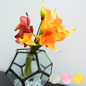 yő2000~N[|z AWA  J[[ V[g 3FWJ ϗtA tFCNO[ }t ][g AWAG nCAG tFCN t[ O[ _ u u