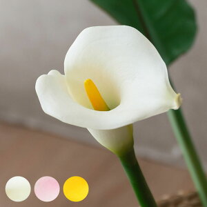 AWA  J[[ O 3FWJ tFCNO[ ][g AWAG nCAG i` u O[ tFCN AWAG oG CeA A[eBtB