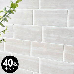 ^CV[ TuEFC^C g UCN  W 29.3cm D 21.2cm H 1mm 1`40 ^C zCgI[N Vv 䏊 Lb` ʏ gC   h EH[XebJ[ fR[