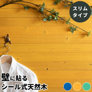 Ebh^C Ǘp S VR EbhEH[pl ^Cv  DIY ǂɓ\ EH[pl ؍ ǎ Ǎ ǖʃpl ǔ ǖ \ \ Se[v ʃe[v DIY AW