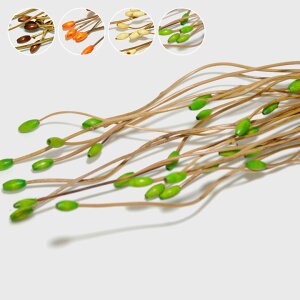 yő2000~N[|z A[gvc AWAoh o IuWF AWA u ԏ AWAG nCAG u _ i` ][g A[gt[ tFCN