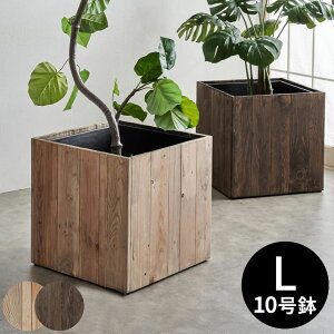 v^[Jo[ Ebhv^[{bNX Ebhv^[Jo[ XNGA^ LTCY Ci[|bgt O 43.5×43.5cm 43.5cm ؐ 10p Botanique {^j[N  xgi