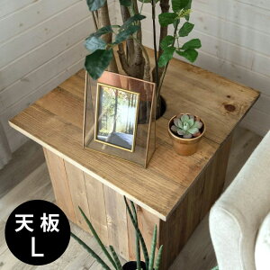 v^[e[u e[uv[g v^[Jo[ ` Jo[ W ӂ t^ V 53.5cm L i` uE Botanique {^j[N ؐ  Ebh Aؔ A e[u TChe[